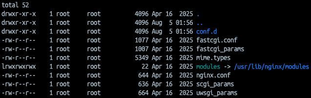 Docker Check Nginx Config