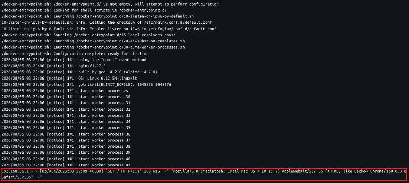 Docker Logs Nginx