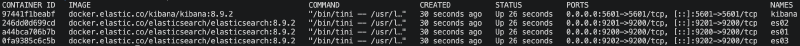 docker ps